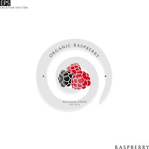 Raspberry. Logo template